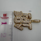 Fatboy Iced 14k Gold Plated Pendant + Steel Rope Chain