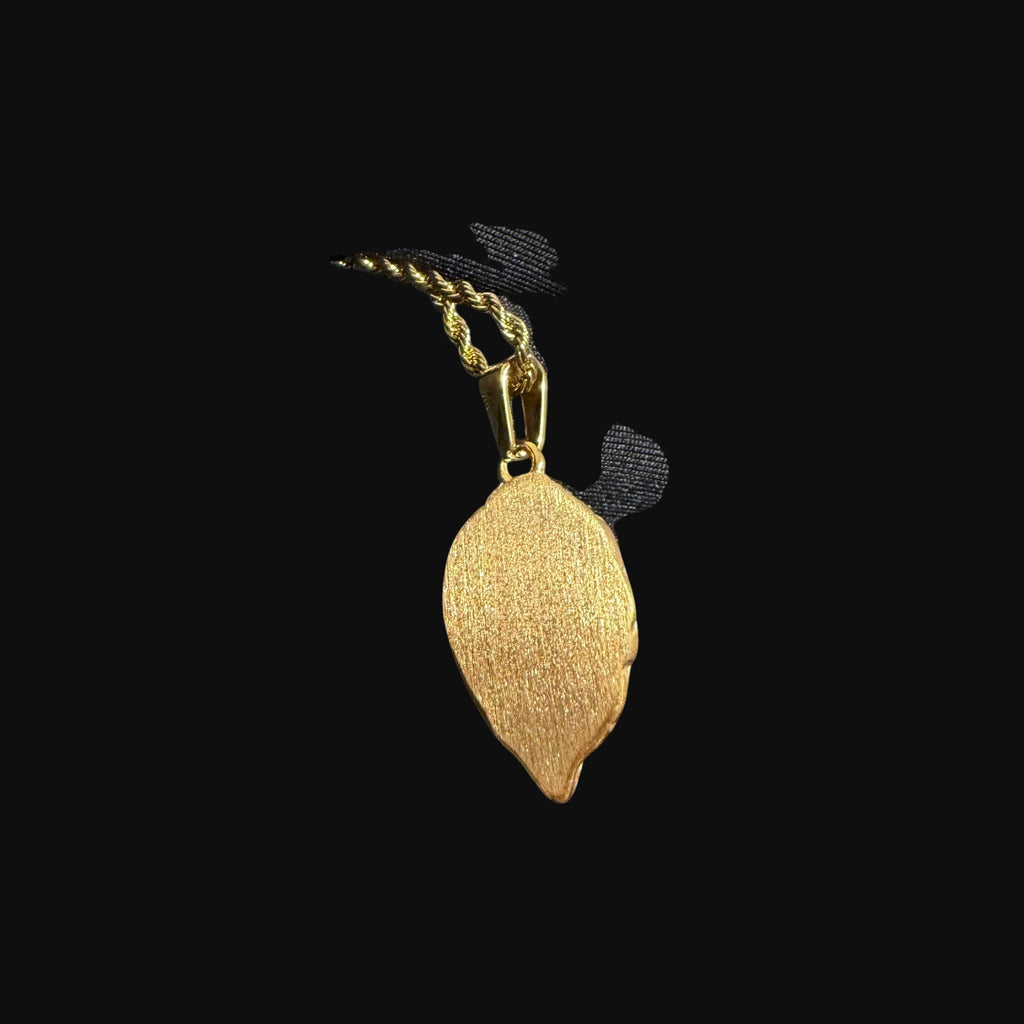 Gold Lion Pendant Necklace, Stainless Steel Necklace for Men, Lion Head Charm, 14K Gold Waterproof Necklace, Gift for Him, Hypoallergenic Jewelry
