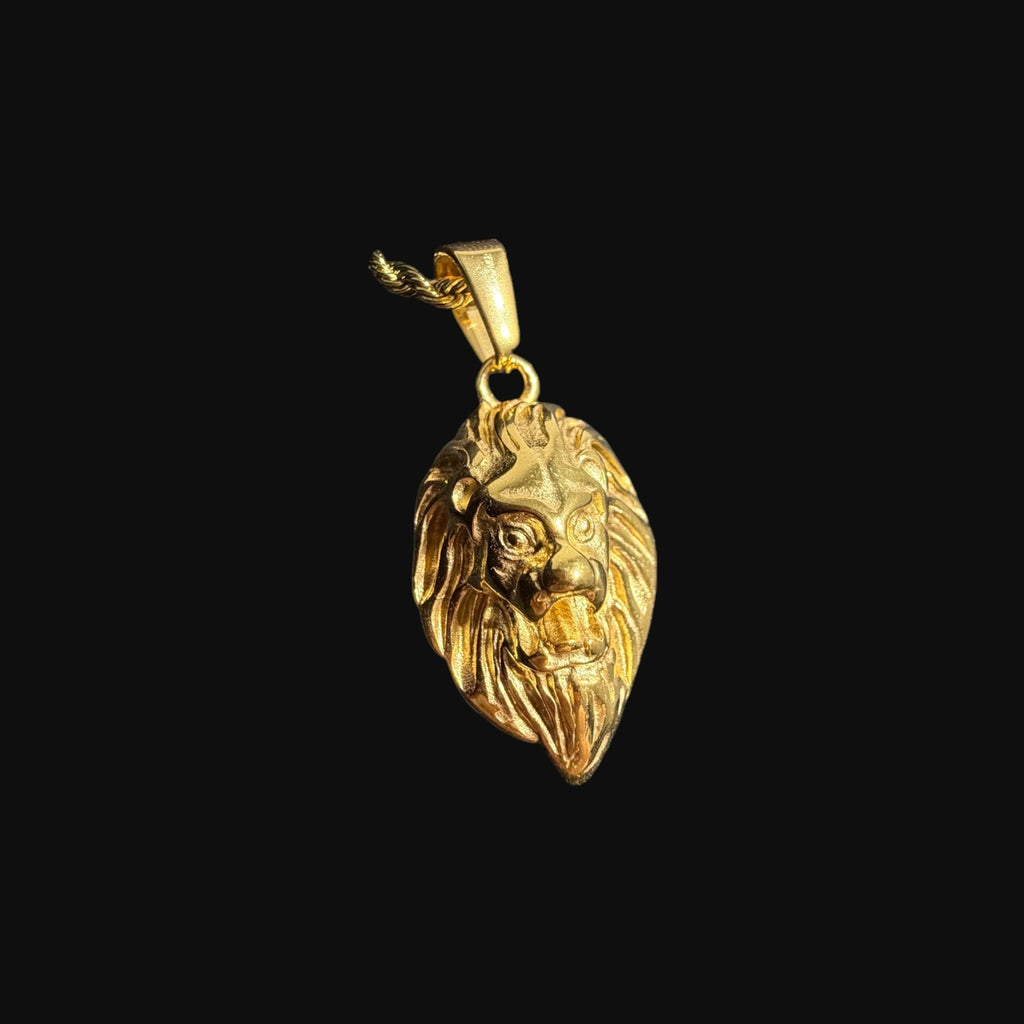 Gold Lion Pendant Necklace, Stainless Steel Necklace for Men, Lion Head Charm, 14K Gold Waterproof Necklace, Gift for Him, Hypoallergenic Jewelry