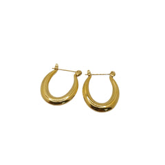 Huggy Hoop Earrings - Waterproof, Durable